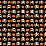 Fall Themed King Charles Spaniel Pet Bandana -  Pumpkin Spice and Everything Nice - Cute Fashion For Your Favorite Dog or Cat