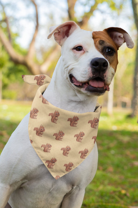 Squirrel Triangle Dog Bandana - Squirrel Bandana For Pet  - Cute Fashion For Your Favorite Pup